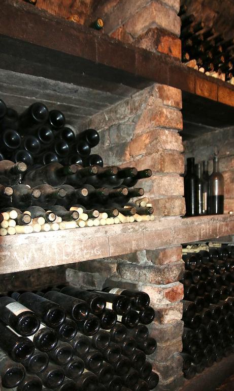 Penzion A Restaurace U Hroznu Velké Bílovice 외부 사진